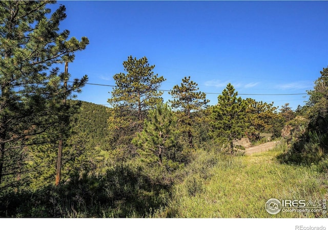 601 Pine Tree Dr, Estes Park CO, 80517 land for sale