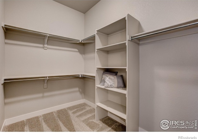 spacious closet featuring light colored carpet