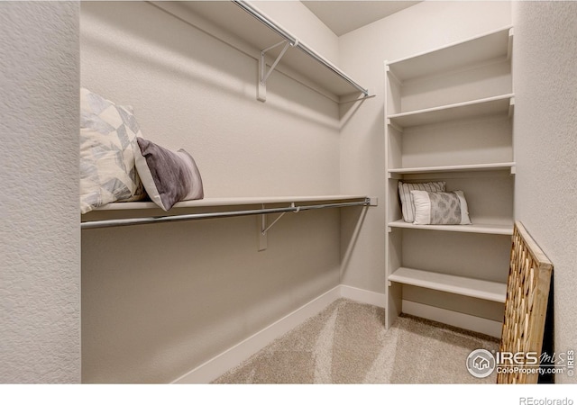 spacious closet featuring light colored carpet