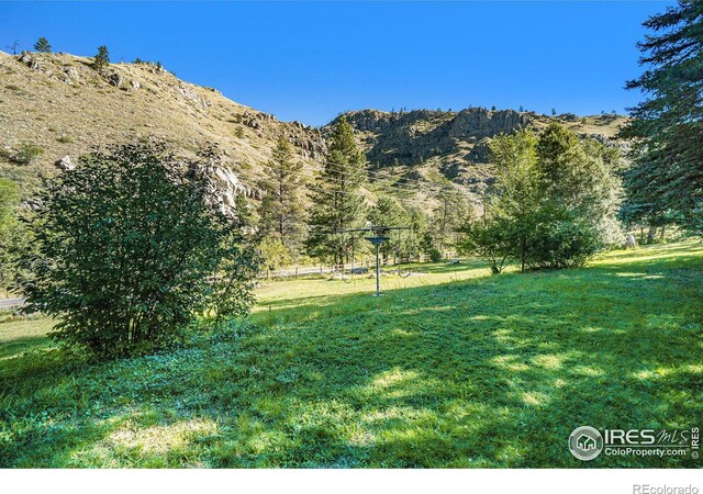 view of yard with a mountain view