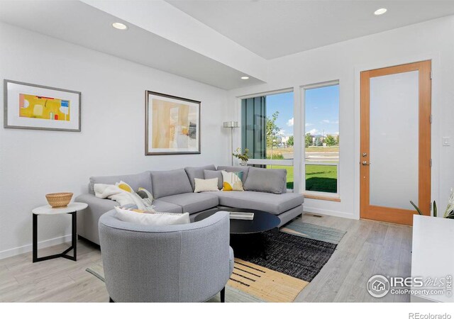 living room featuring light hardwood / wood-style flooring