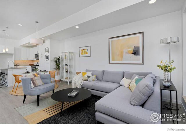 living room featuring light hardwood / wood-style flooring and sink