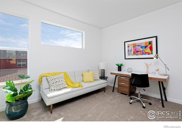 office featuring a wealth of natural light, baseboards, and carpet