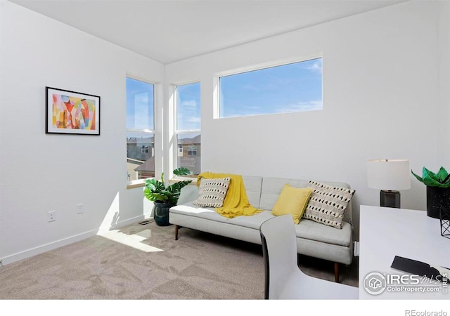 living room featuring light colored carpet