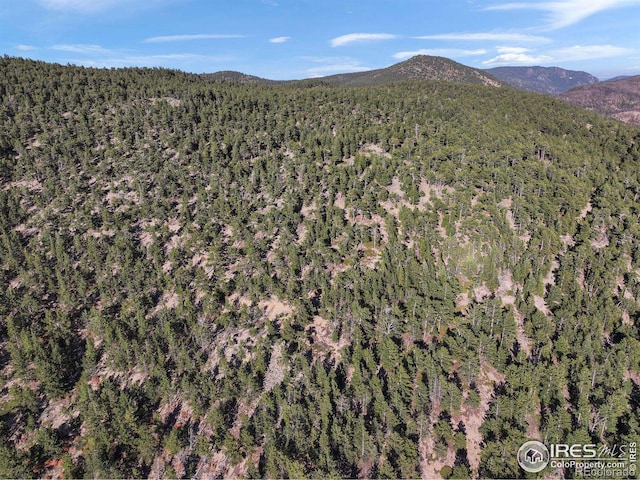 Indiana Gulch Rd, Ward, CO 80481