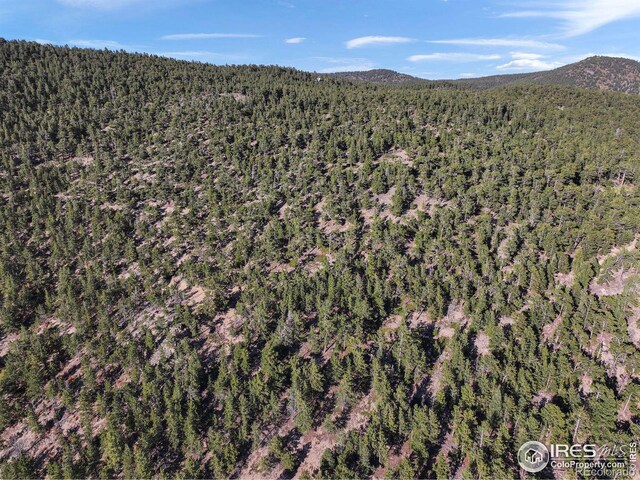 Indiana Gulch Rd, Ward, CO 80481