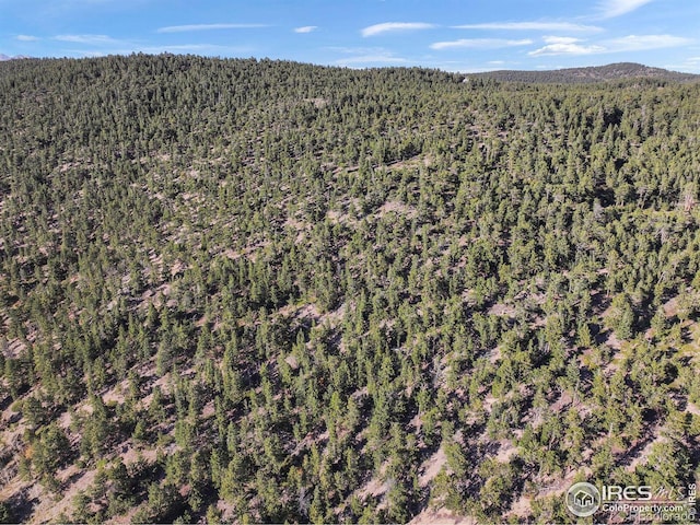 Indiana Gulch Rd, Ward, CO 80481