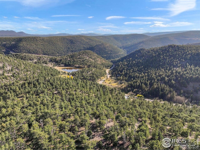 Indiana Gulch Rd, Ward, CO 80481
