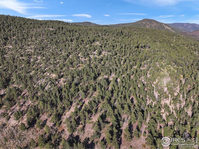 Indiana Gulch Rd, Ward, CO 80481
