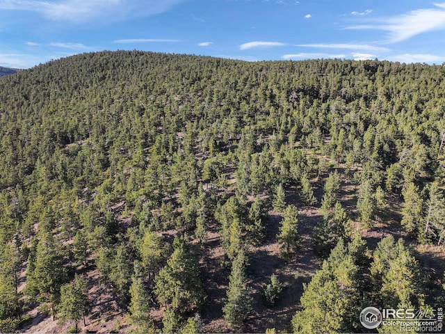 Indiana Gulch Rd, Ward, CO 80481