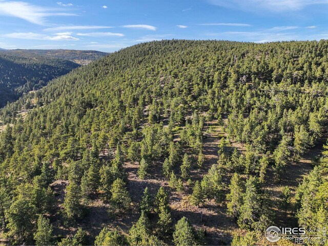 Indiana Gulch Rd, Ward, CO 80481