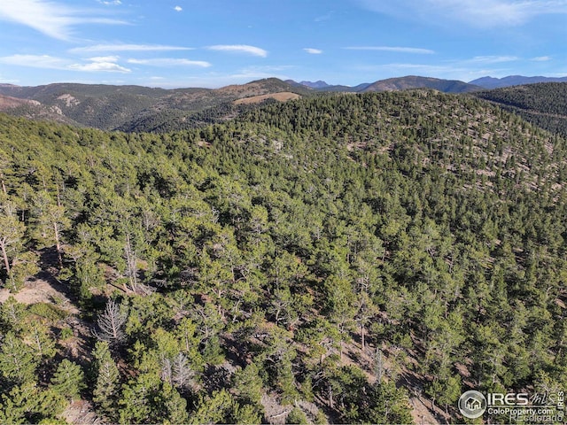 Indiana Gulch Rd, Ward, CO 80481