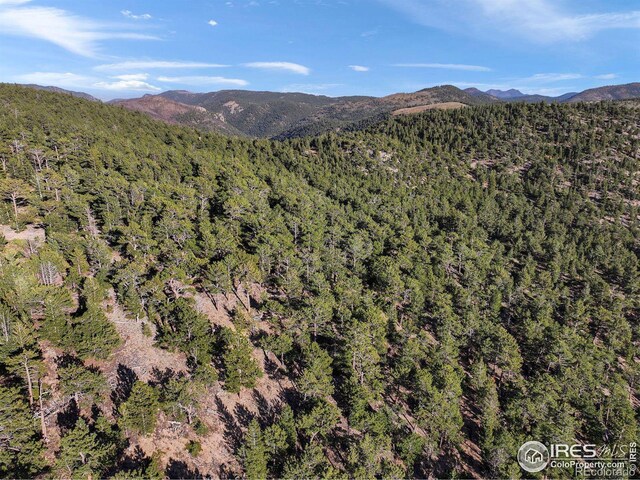 Indiana Gulch Rd, Ward, CO 80481