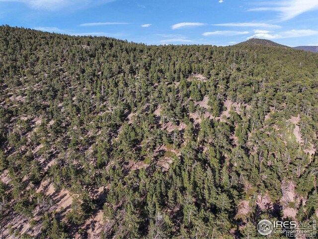 Indiana Gulch Rd, Ward, CO 80481