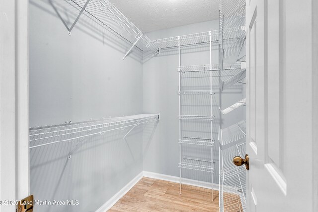 226 Auburn Dr, Alexander City, AL 35010 - walk in closet featuring wood finished floors
