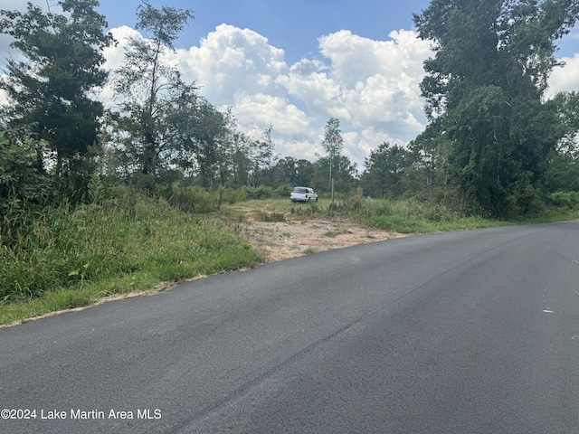 205 Coosa County Rd 130, Goodwater AL, 35072 land for sale