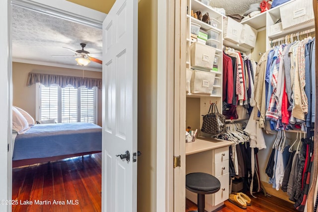 bedroom featuring ceiling fan, dark hardwood / wood-style floors, a closet, and crown molding