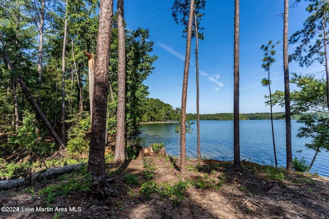 property view of water