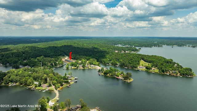 3260 Bay Pine Rd, Jacksons Gap, AL 36861 - photo 28