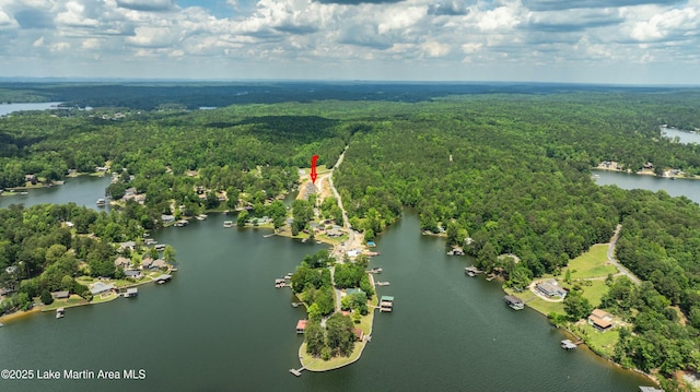 3260 Bay Pine Rd, Jacksons Gap, AL 36861 - photo 29
