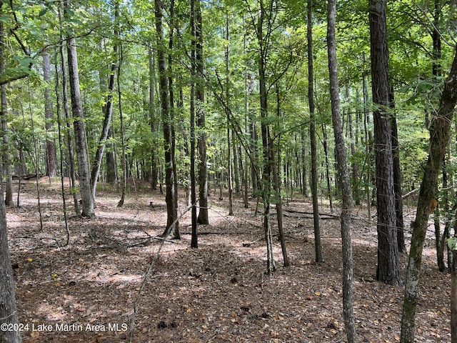 LOT46 Tanglewood Ct, Dadeville AL, 36853 land for sale