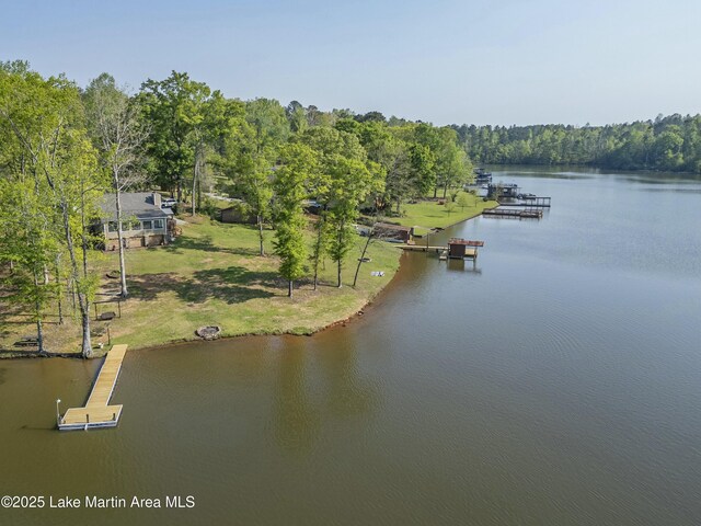 790 Lakeview Hts, Jacksons Gap, AL 36861 - photo 4