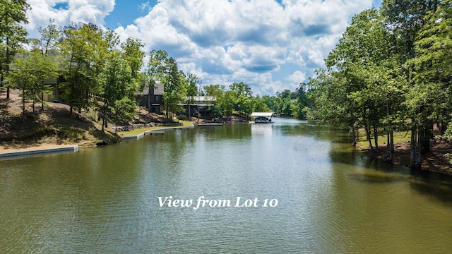 265 Sanctuary Cv, Dadeville AL, 36853 land for sale