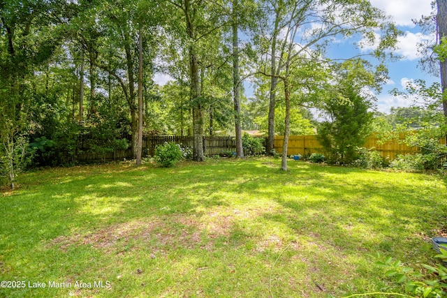 300 Hornsby Dr, Tallassee, AL 36078 - view of yard