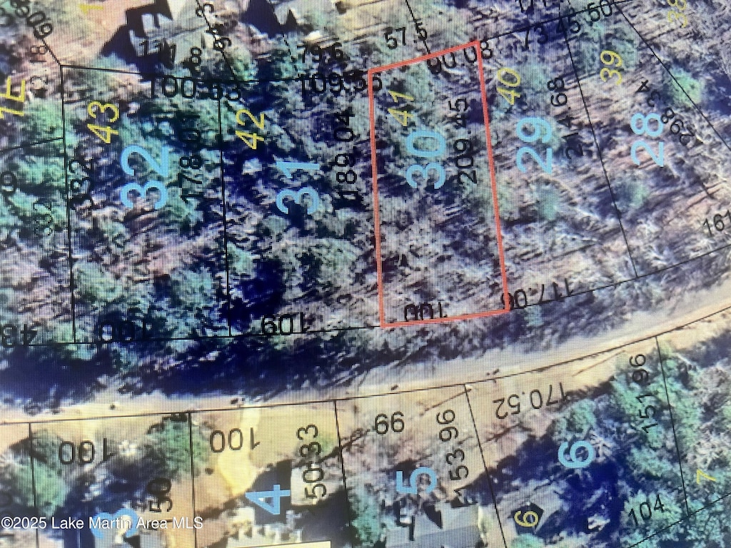 LOT41 Palmer Dr, Dadeville, AL 36853 - photo 2