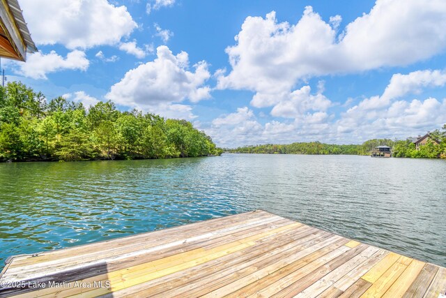 1710 Circle Point Rd, Dadeville, AL 36853 - photo 24
