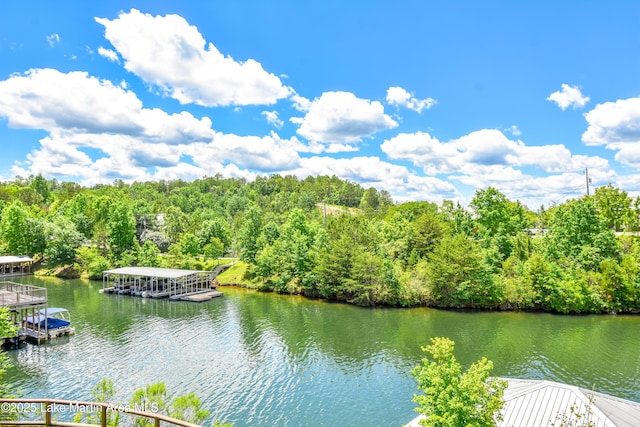 1710 Circle Point Rd, Dadeville, AL 36853 - photo 10