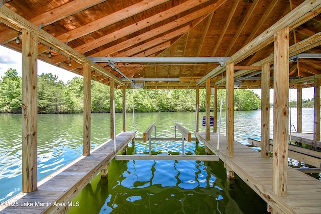 1710 Circle Point Rd, Dadeville, AL 36853 - photo 27