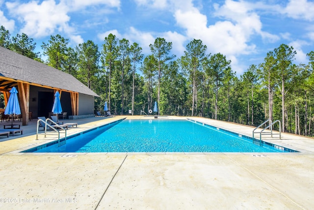 view of pool featuring a patio