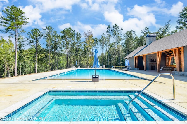 view of pool with a patio