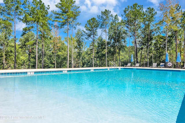 view of swimming pool