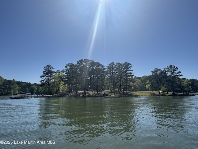 287 Arrowhead Rd, Dadeville, AL 36853 - photo 12