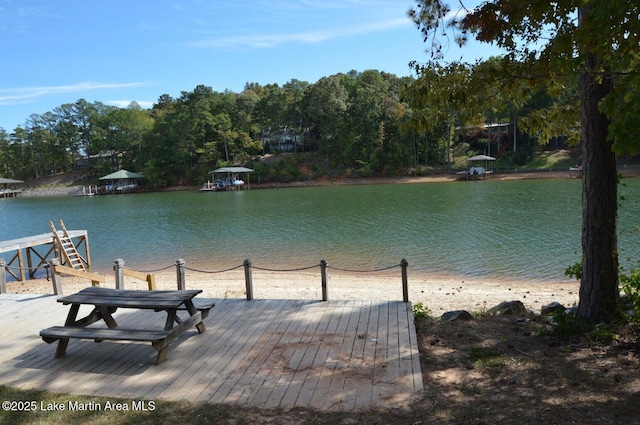 287 Arrowhead Rd, Dadeville, AL 36853 - photo 14