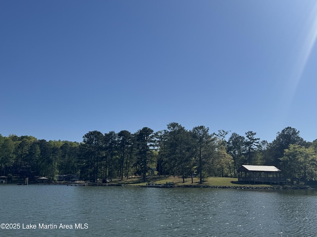 287 Arrowhead Rd, Dadeville, AL 36853 - photo 18