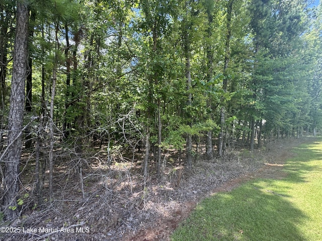 LOT4 Stagecoach Rd, Dadeville, AL 36853 - photo 2
