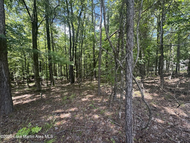 LOT4 Stagecoach Rd, Dadeville, AL 36853 - photo 3