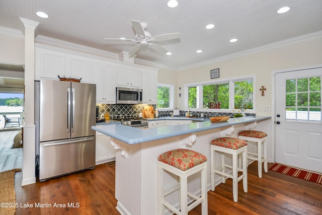 421 Mccain Rd, Eclectic, AL 36024 - kitchen featuring stainless steel appliances, recessed lighting, plenty of natural light, dark wood-type flooring, and crown molding