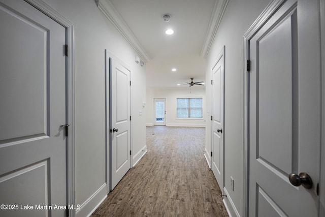 hallway featuring ornamental molding and wood-type flooring