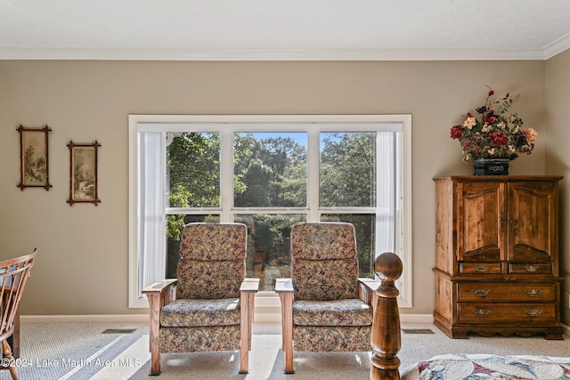 interior space with light carpet and ornamental molding