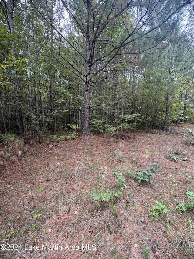 Listing photo 2 for 0 Rock Springs Rd, Jacksons Gap AL 36861