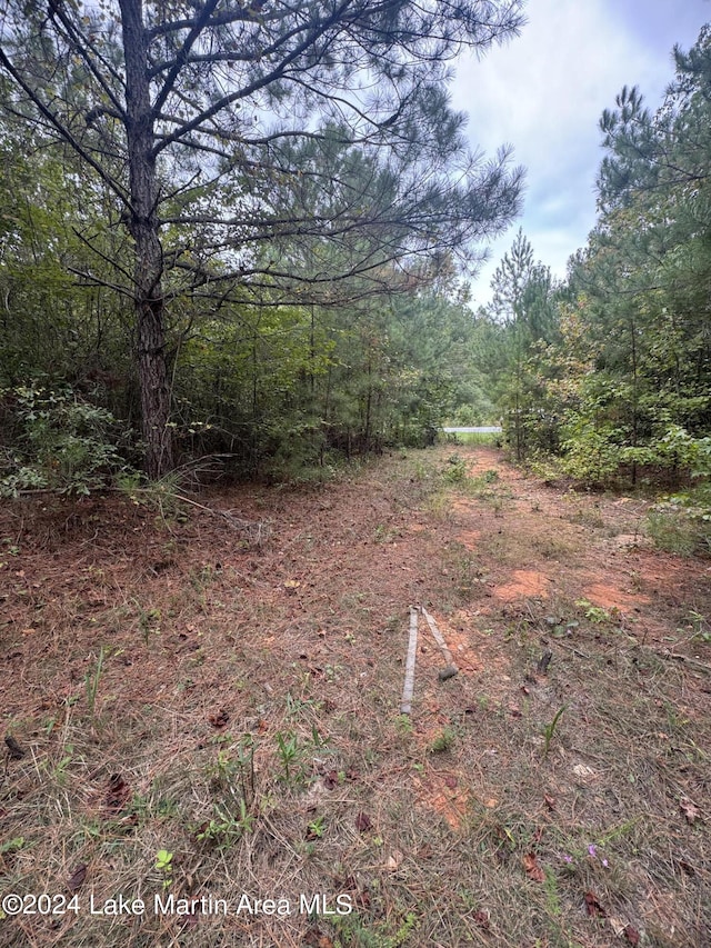 Listing photo 3 for 0 Rock Springs Rd, Jacksons Gap AL 36861