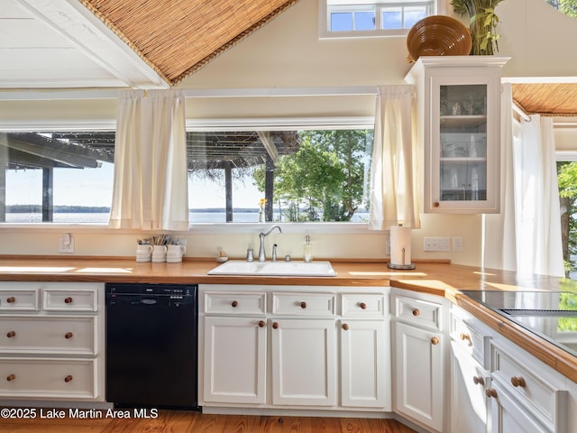 kitchen featuring a wealth of natural light, a sink, and black dishwasher