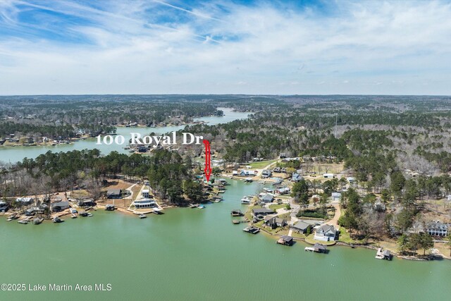 100 Royal Dr, Equality, AL 36026 - bird's eye view featuring a water view