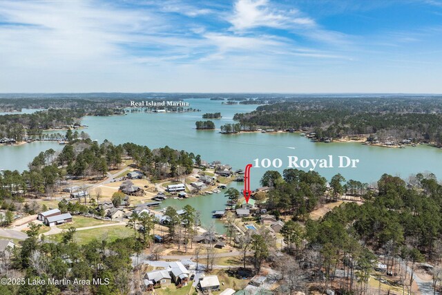 100 Royal Dr, Equality, AL 36026 - aerial view with a water view