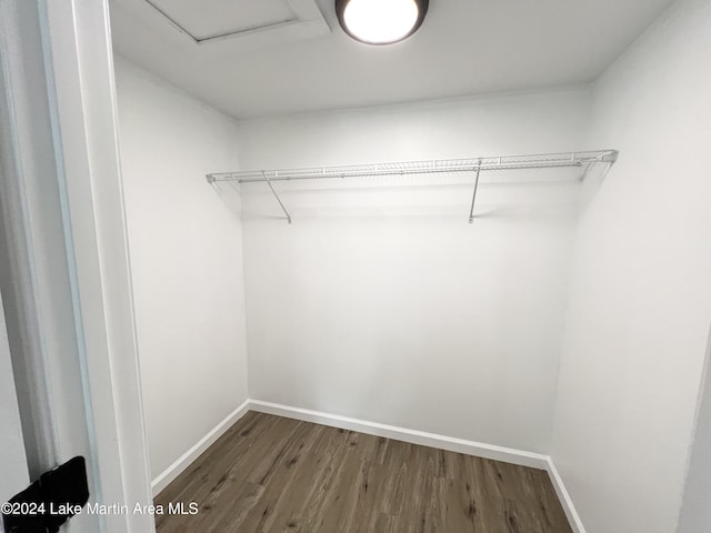 spacious closet featuring dark hardwood / wood-style floors