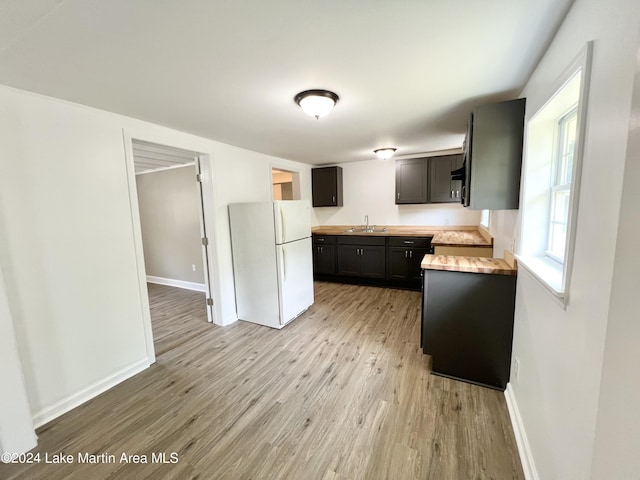 kitchen with sink, white fridge, light hardwood / wood-style flooring, and wood counters